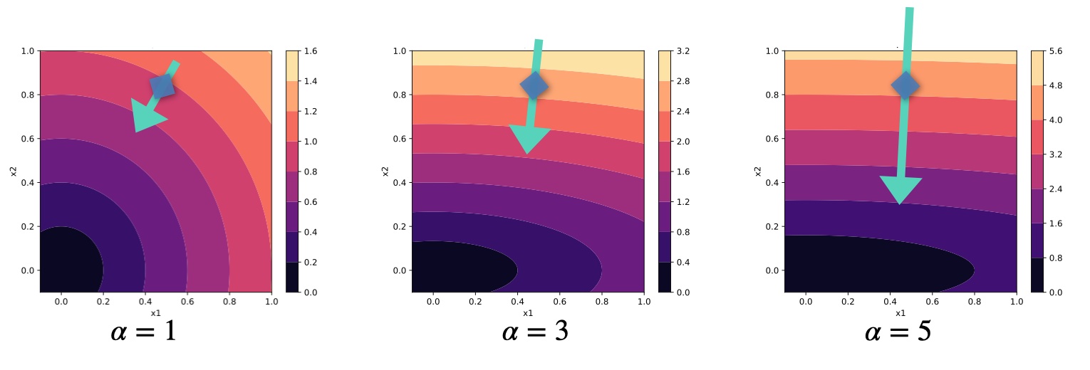 physgrad-scaling